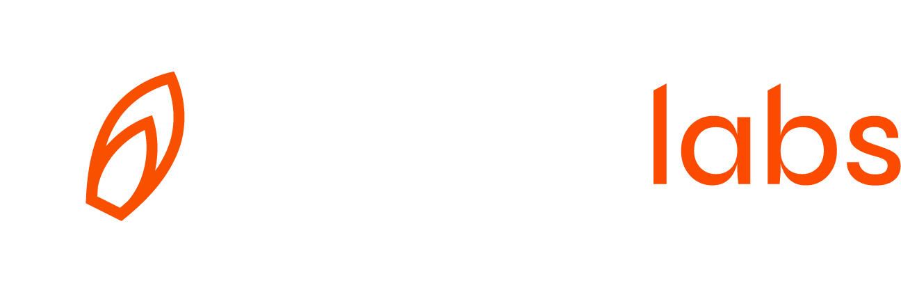 Cache Labs